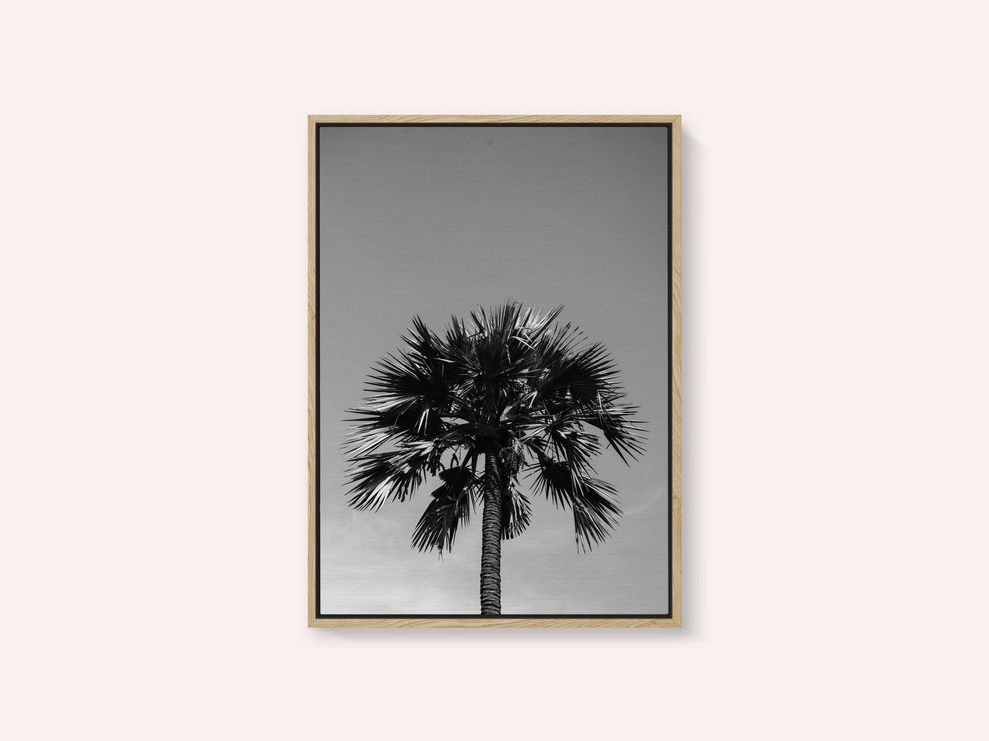 Striking Palm Silhouette