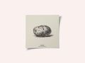 Vintage Vegetables - Potato
