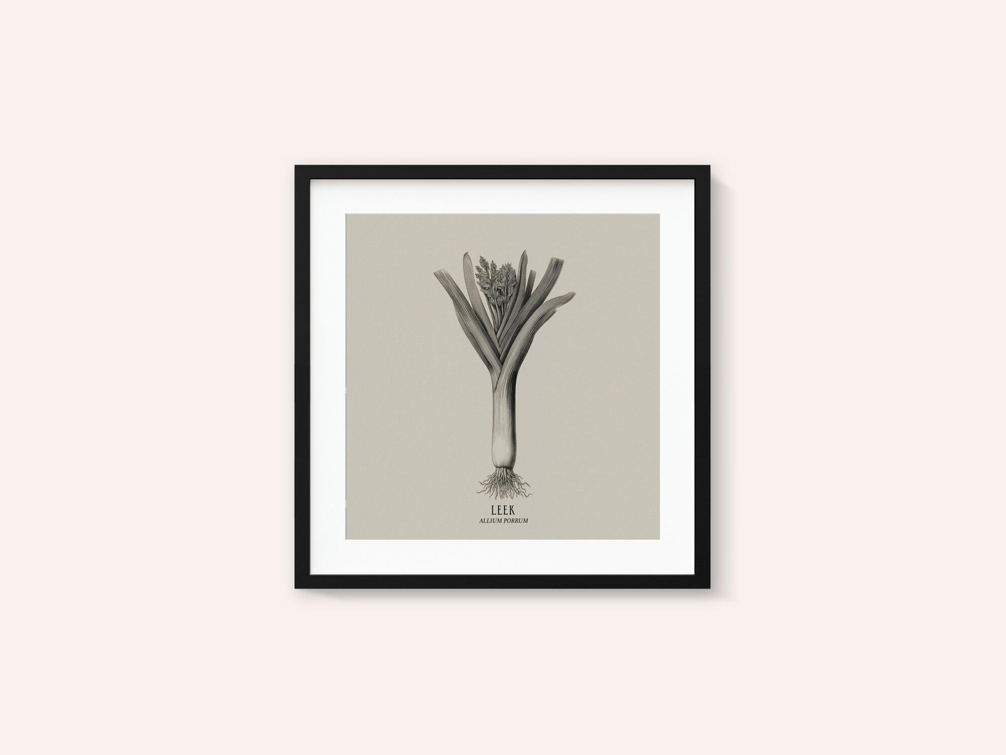 Vintage Vegetables - Leek