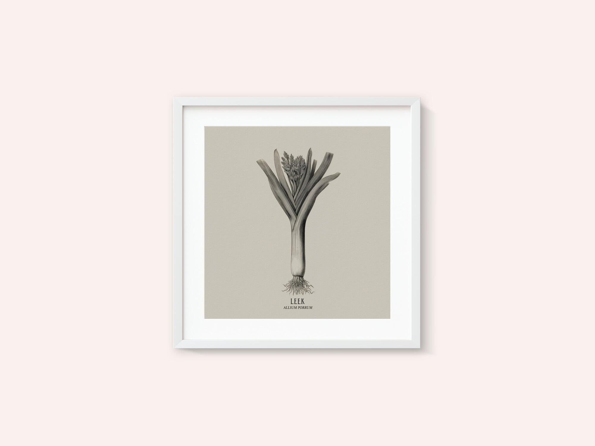 Vintage Vegetables - Leek