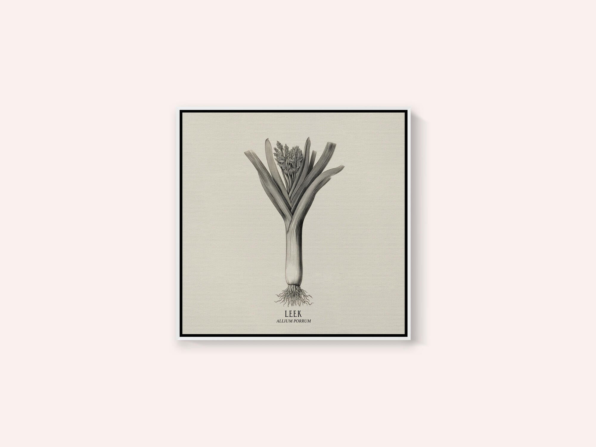 Vintage Vegetables - Leek