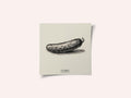 Vintage Vegetables - Cucumber