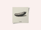 Vintage Vegetables - Cucumber