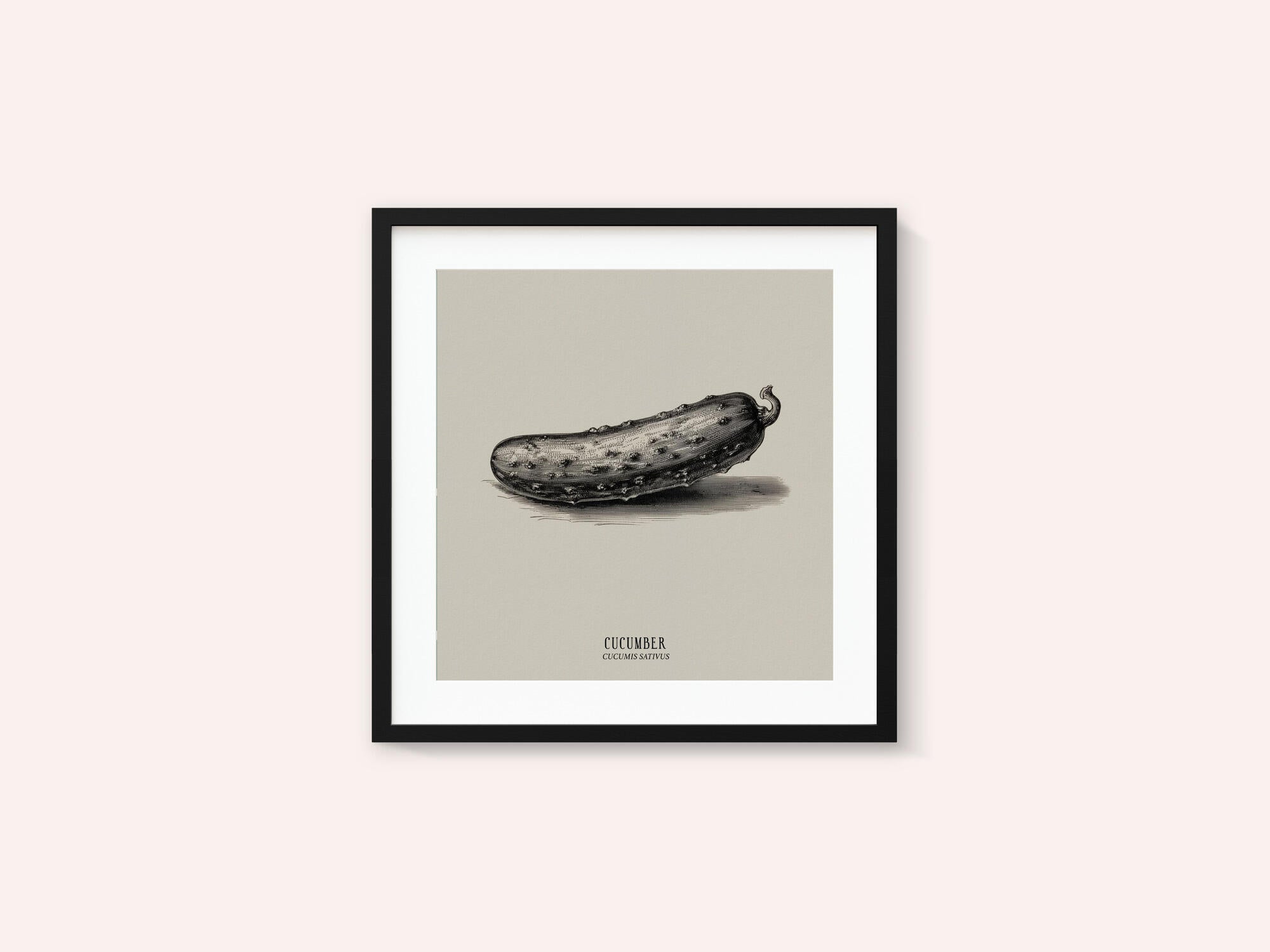 Vintage Vegetables - Cucumber