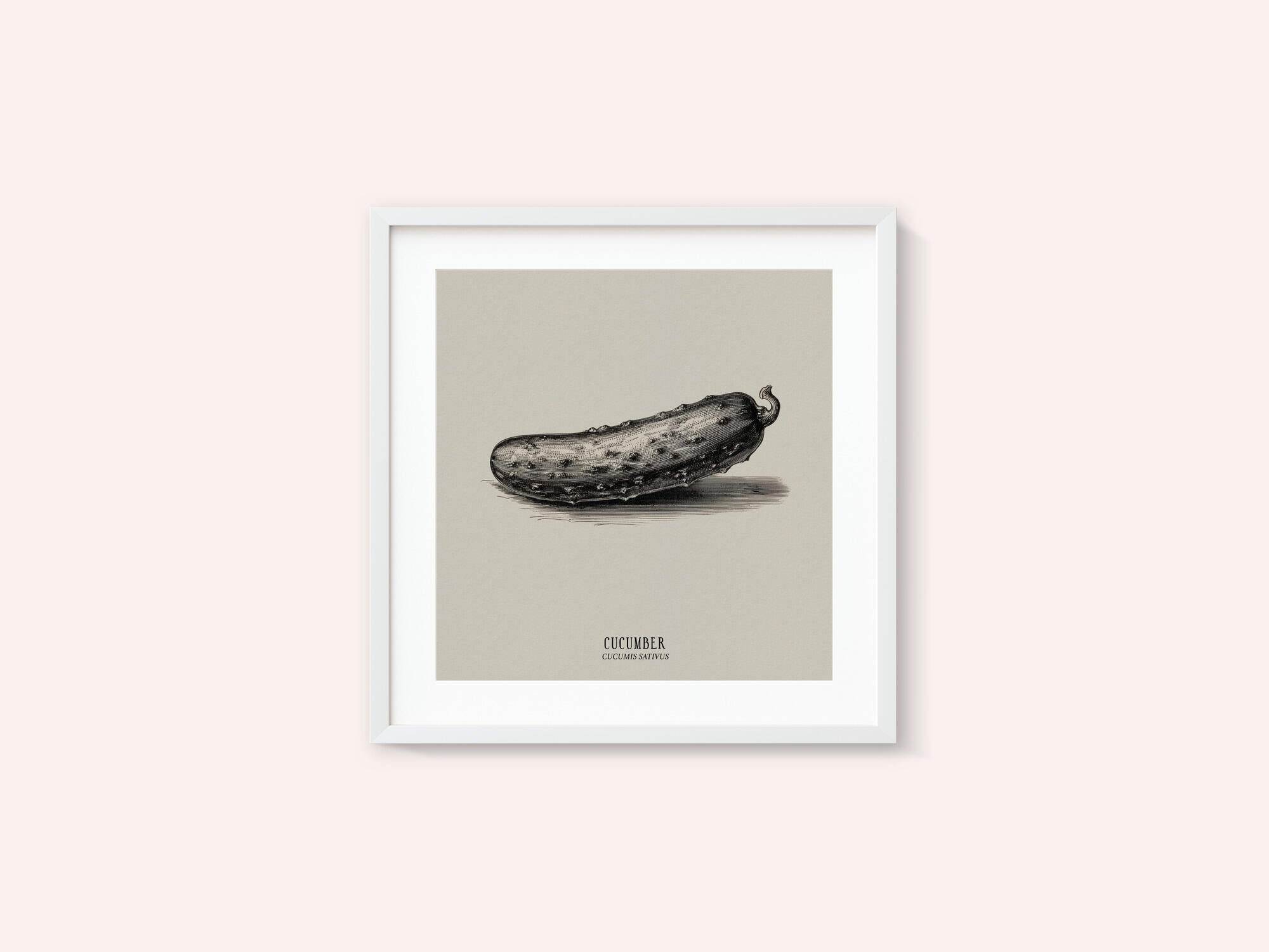Vintage Vegetables - Cucumber