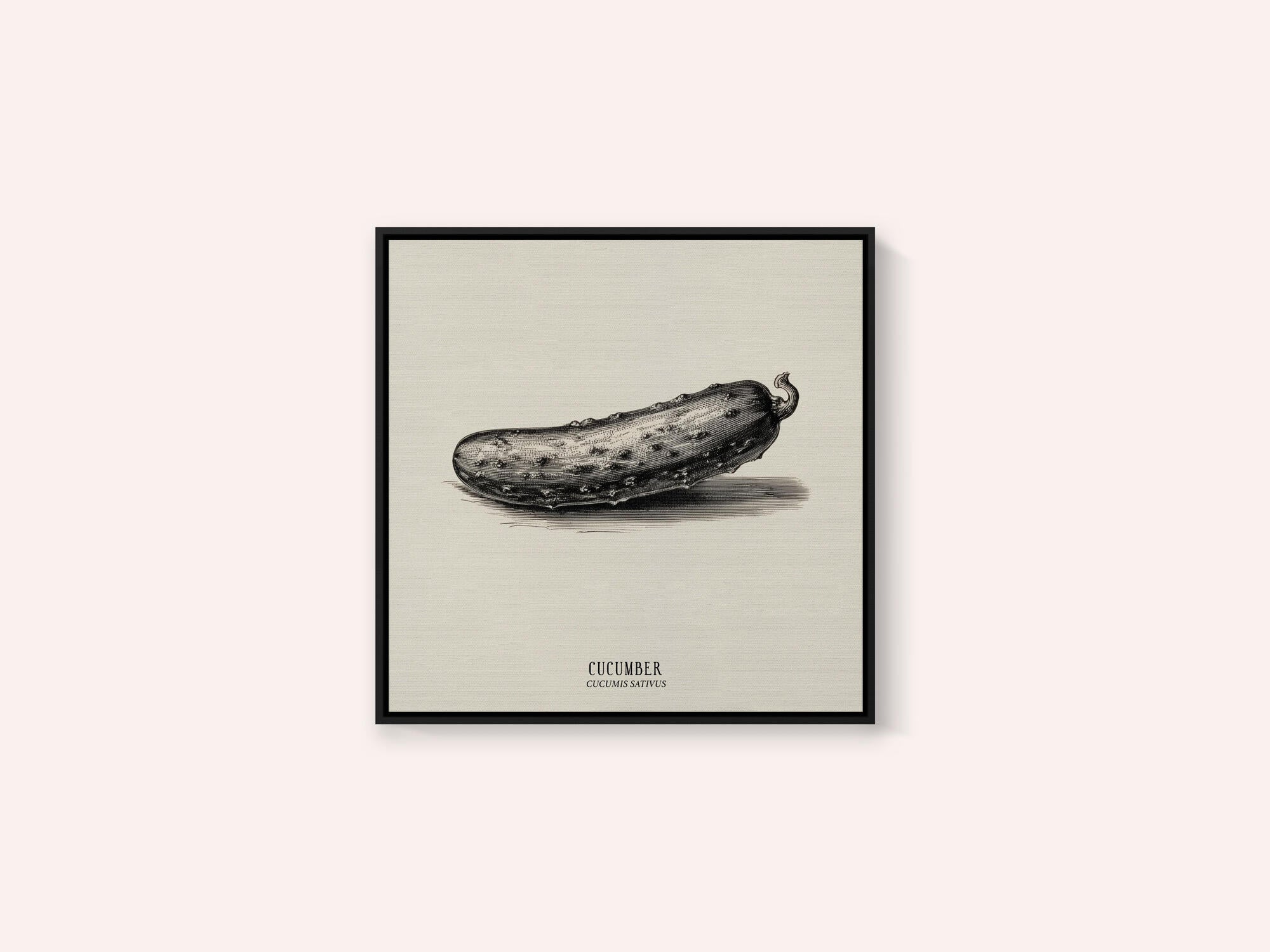 Vintage Vegetables - Cucumber