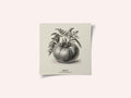 Vintage Vegetables - Tomato