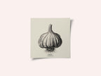 Vintage Vegetables - Garlic