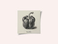 Vintage Vegetables - Bell Pepper