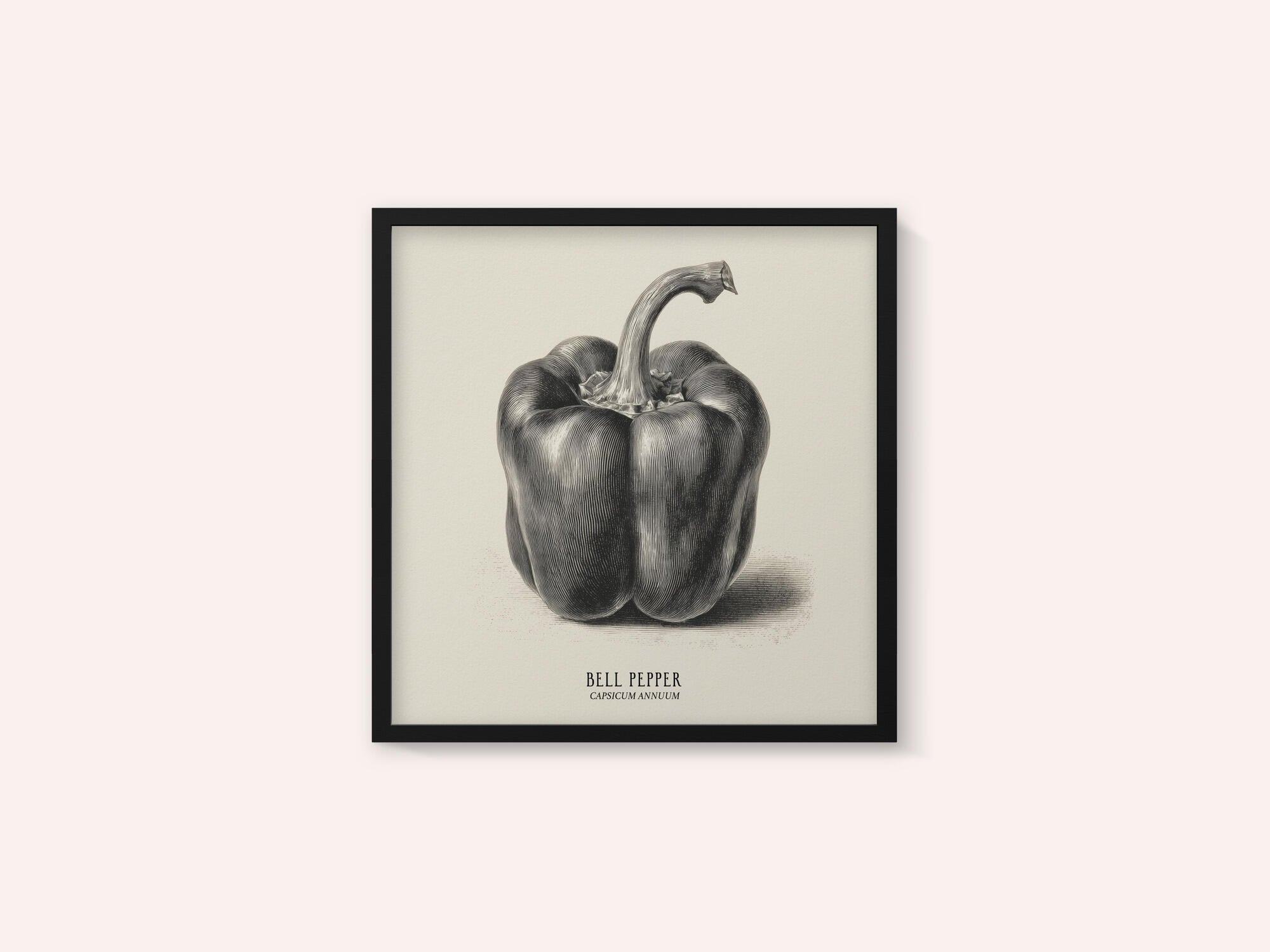 Vintage Vegetables - Bell Pepper