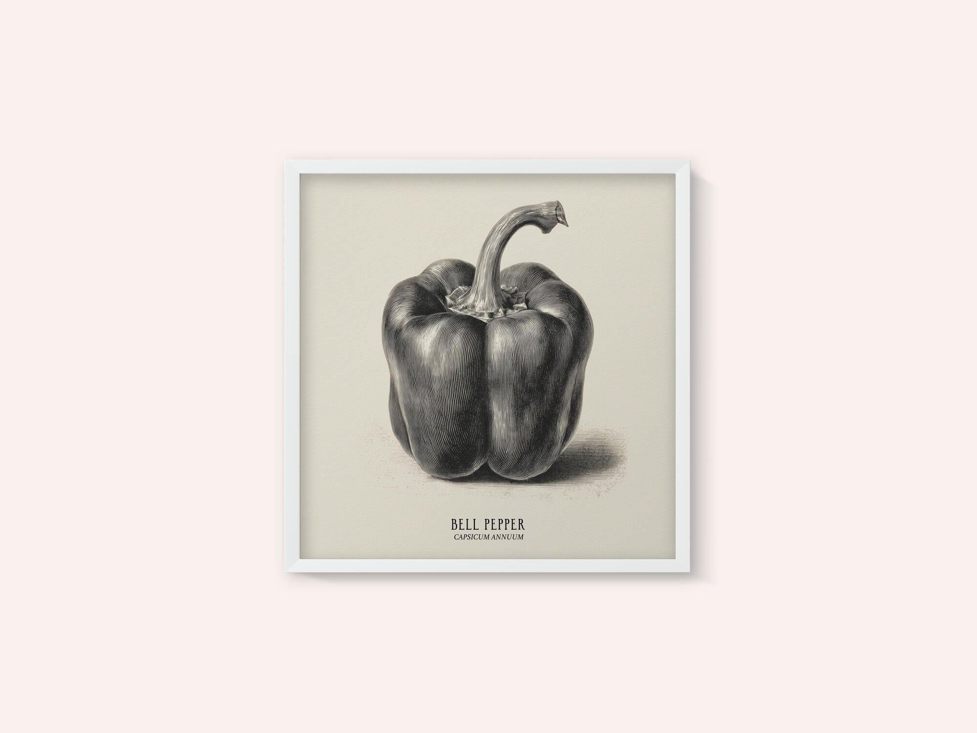 Vintage Vegetables - Bell Pepper