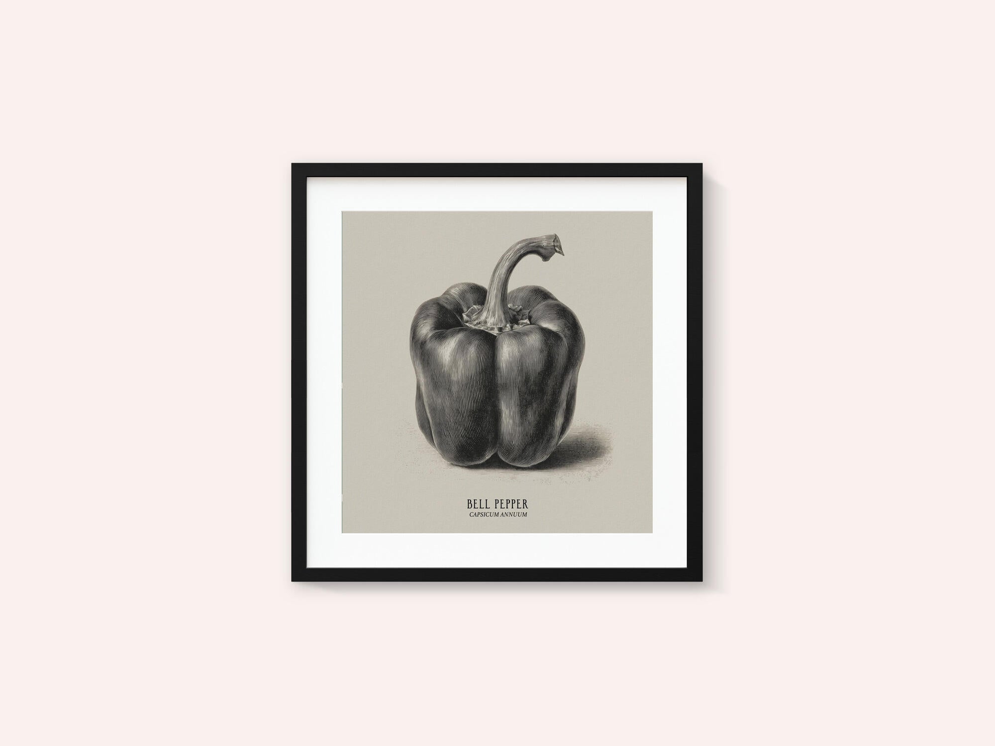 Vintage Vegetables - Bell Pepper