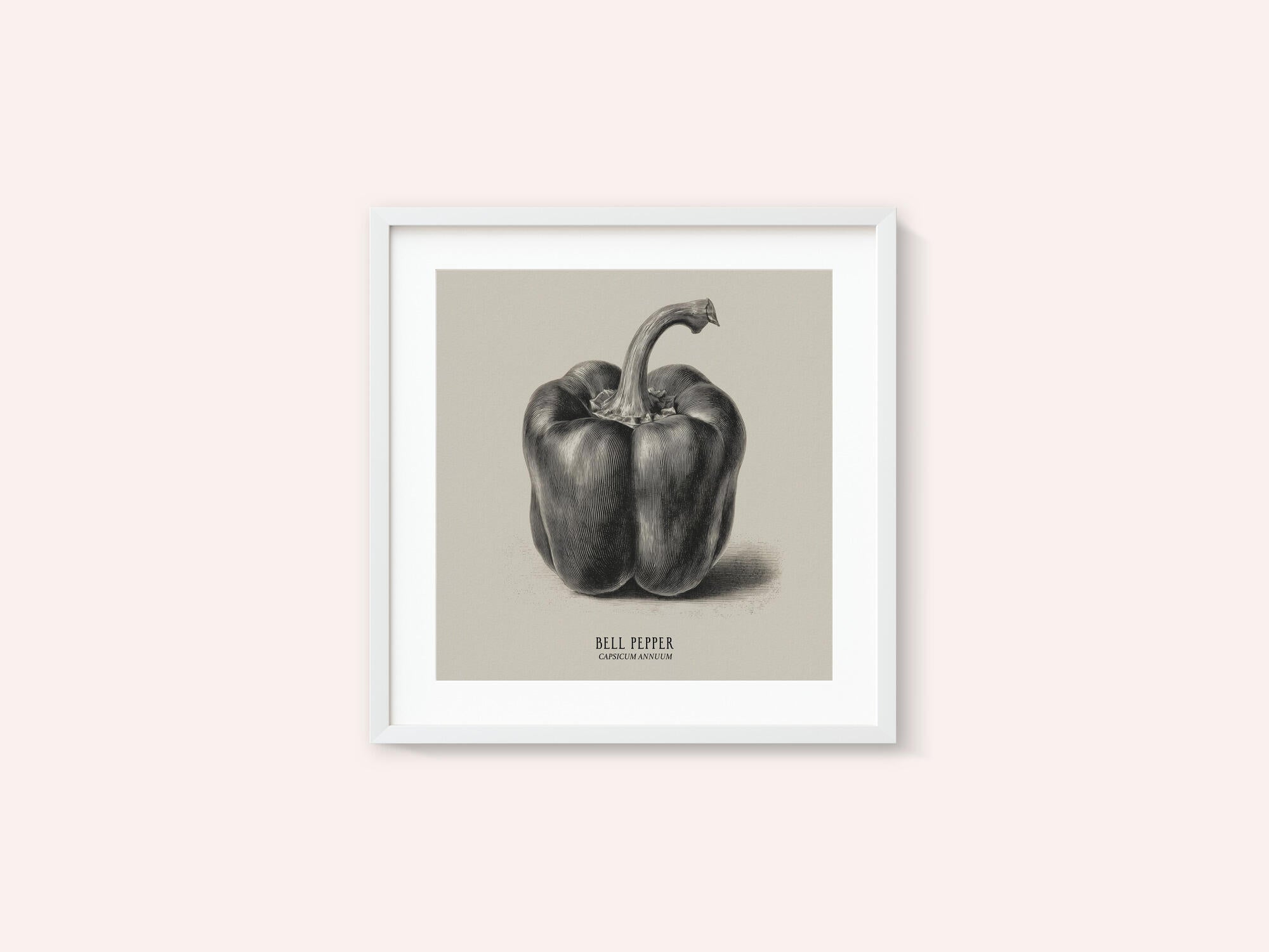Vintage Vegetables - Bell Pepper