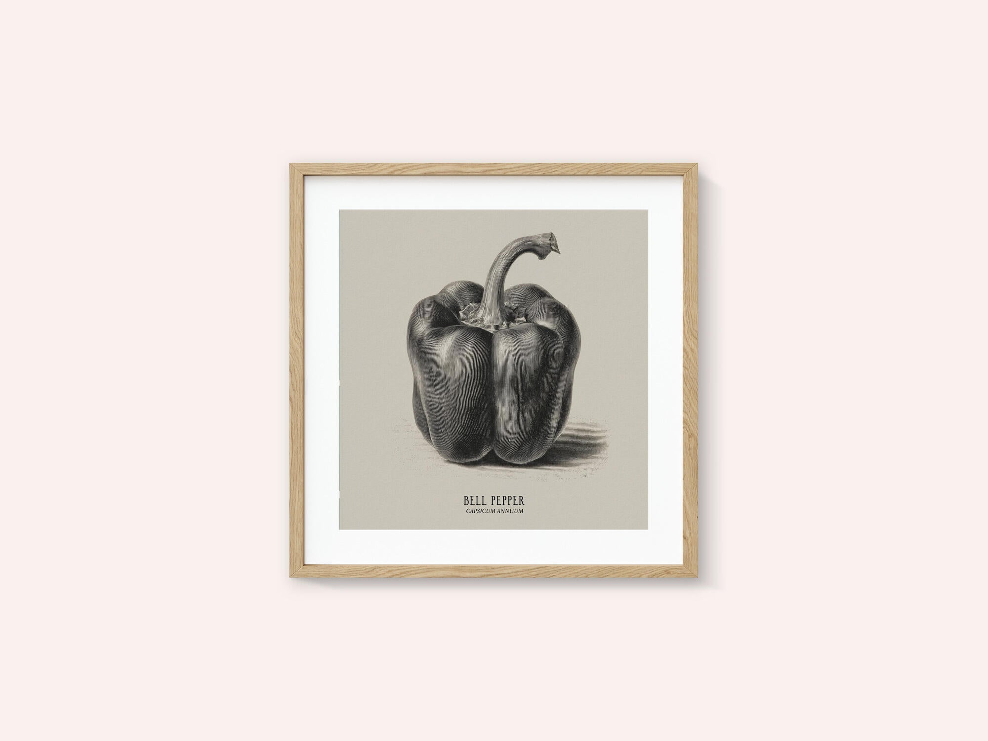Vintage Vegetables - Bell Pepper