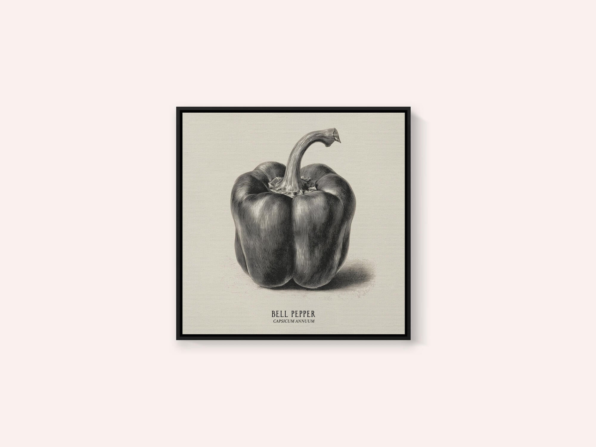 Vintage Vegetables - Bell Pepper