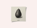 Vintage Vegetables - Avocado