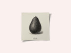 Vintage Vegetables - Avocado