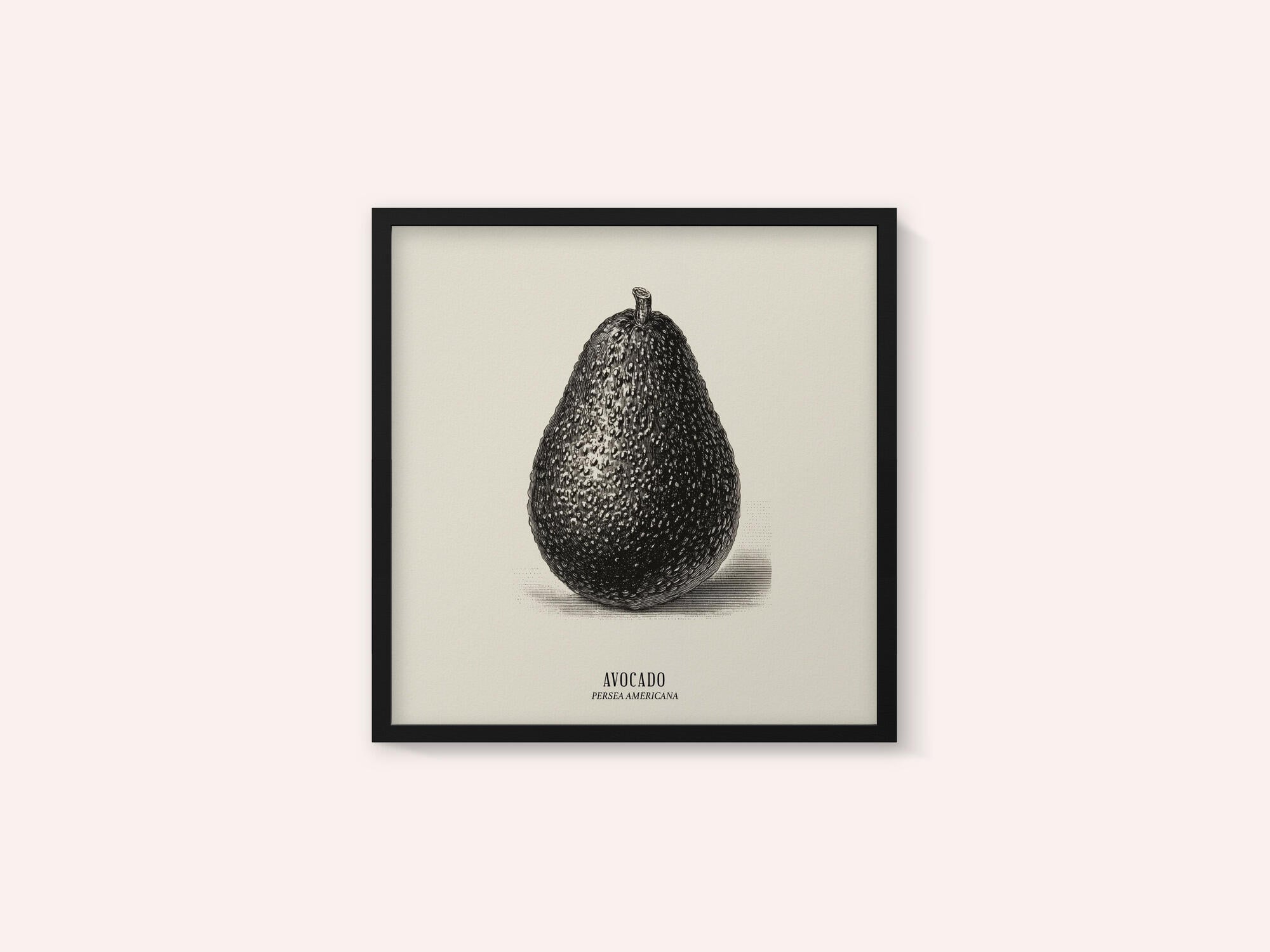 Vintage Vegetables - Avocado