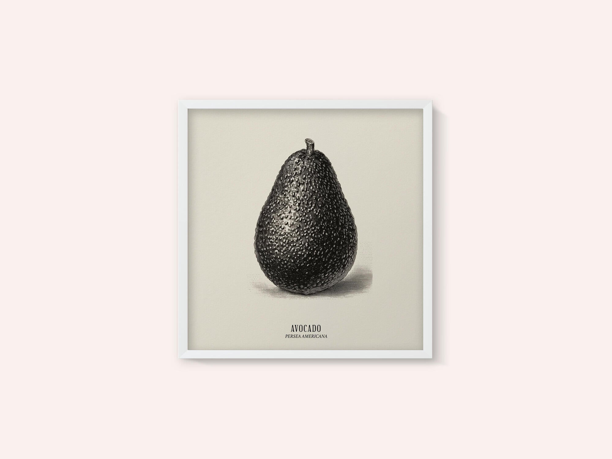 Vintage Vegetables - Avocado
