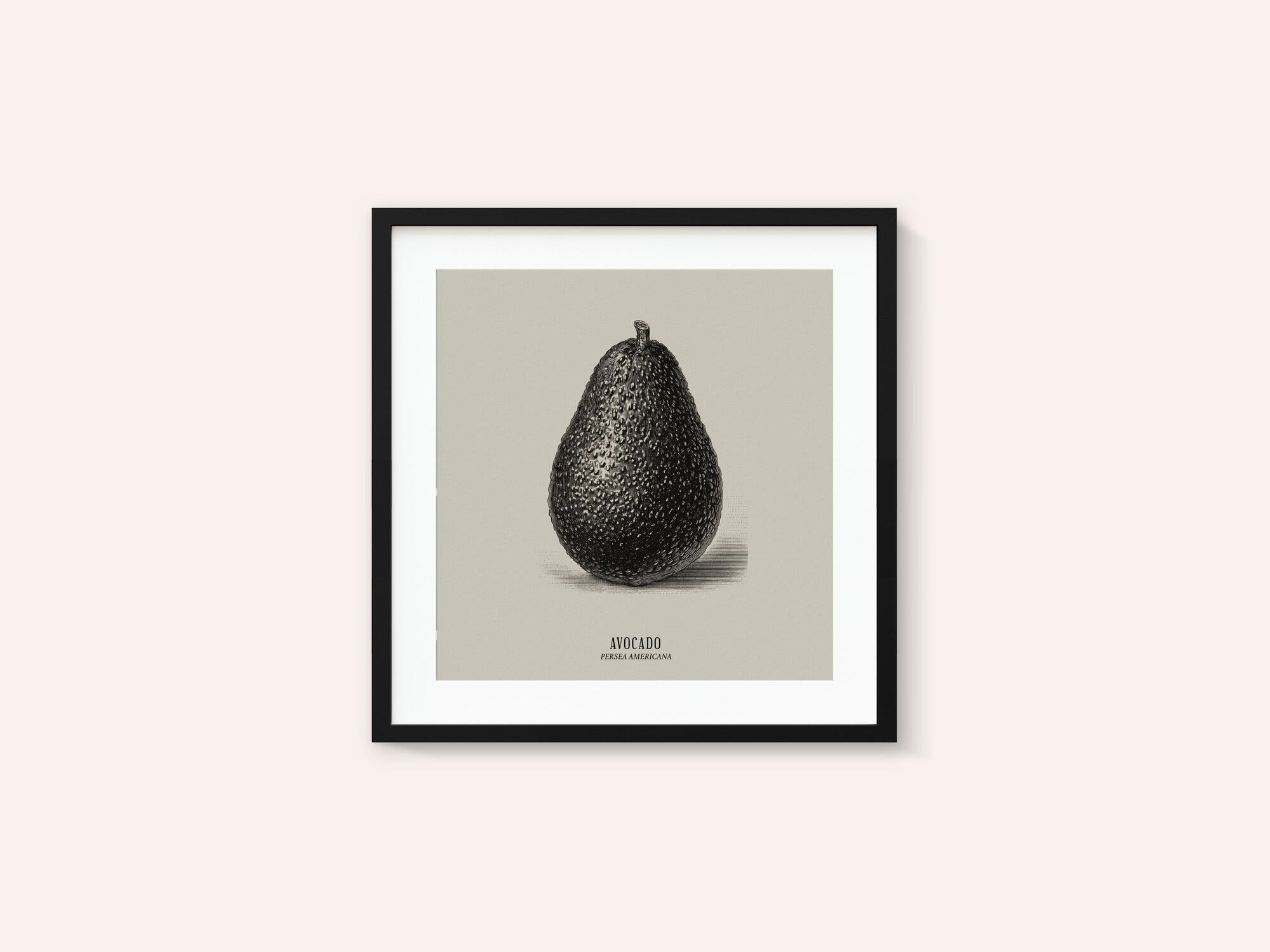 Vintage Vegetables - Avocado