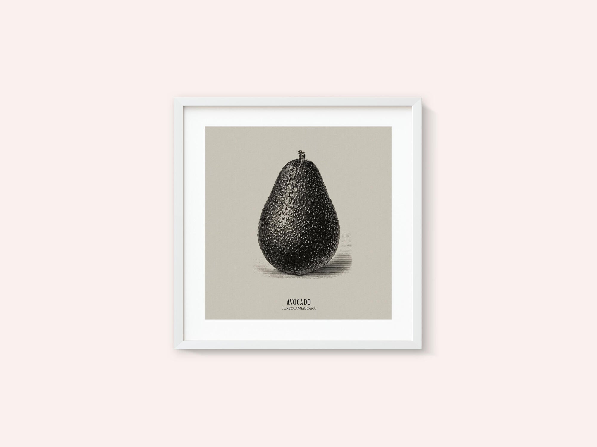 Vintage Vegetables - Avocado