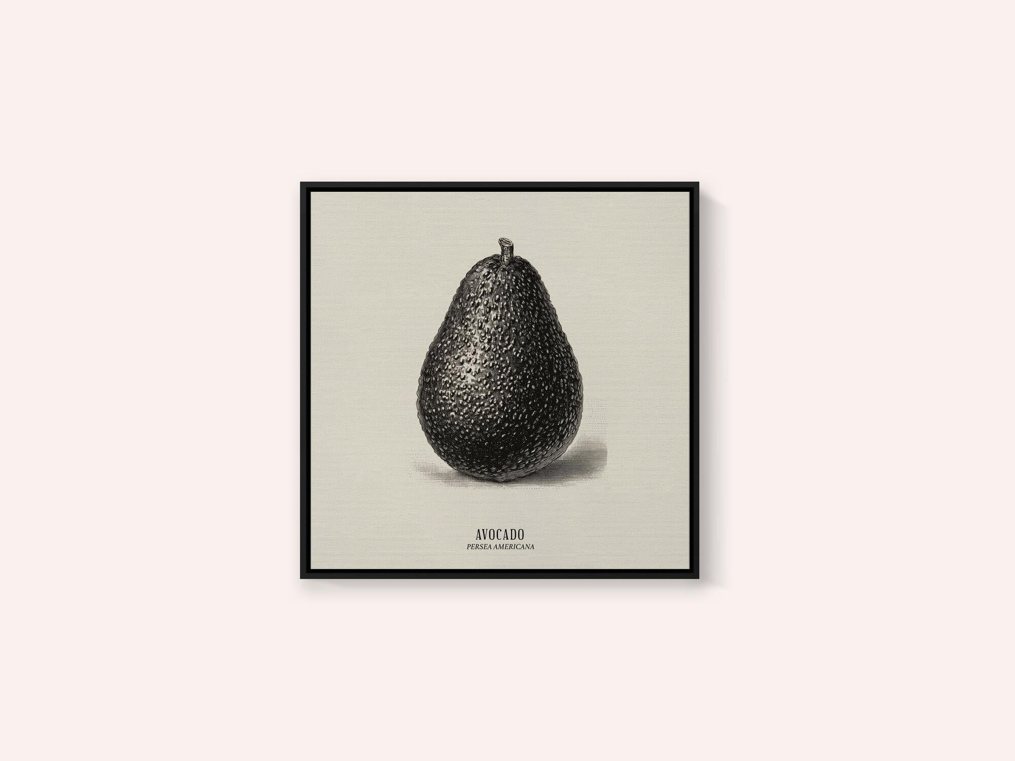 Vintage Vegetables - Avocado