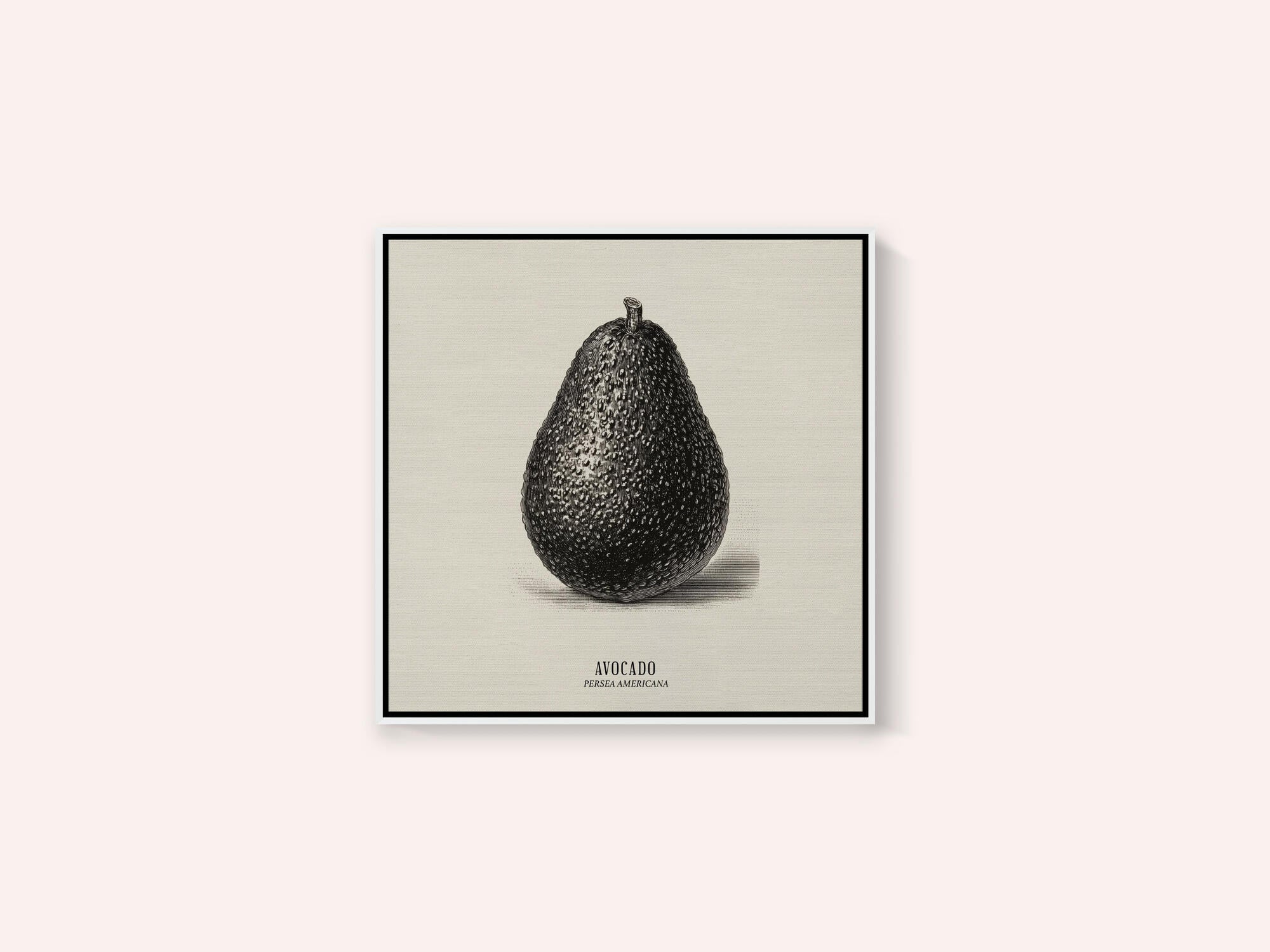 Vintage Vegetables - Avocado