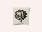 Vintage Vegetables - Artichoke