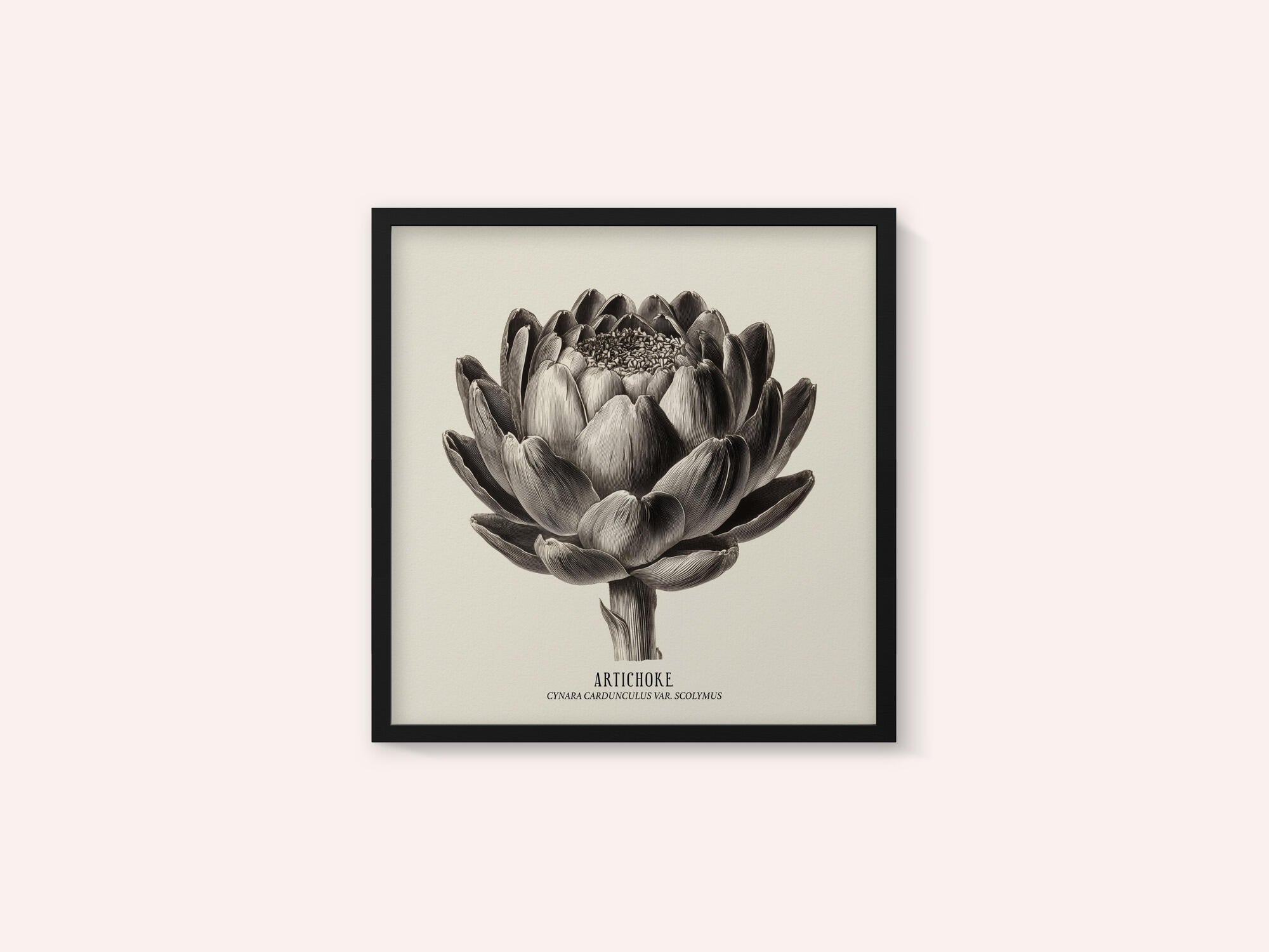 Vintage Vegetables - Artichoke