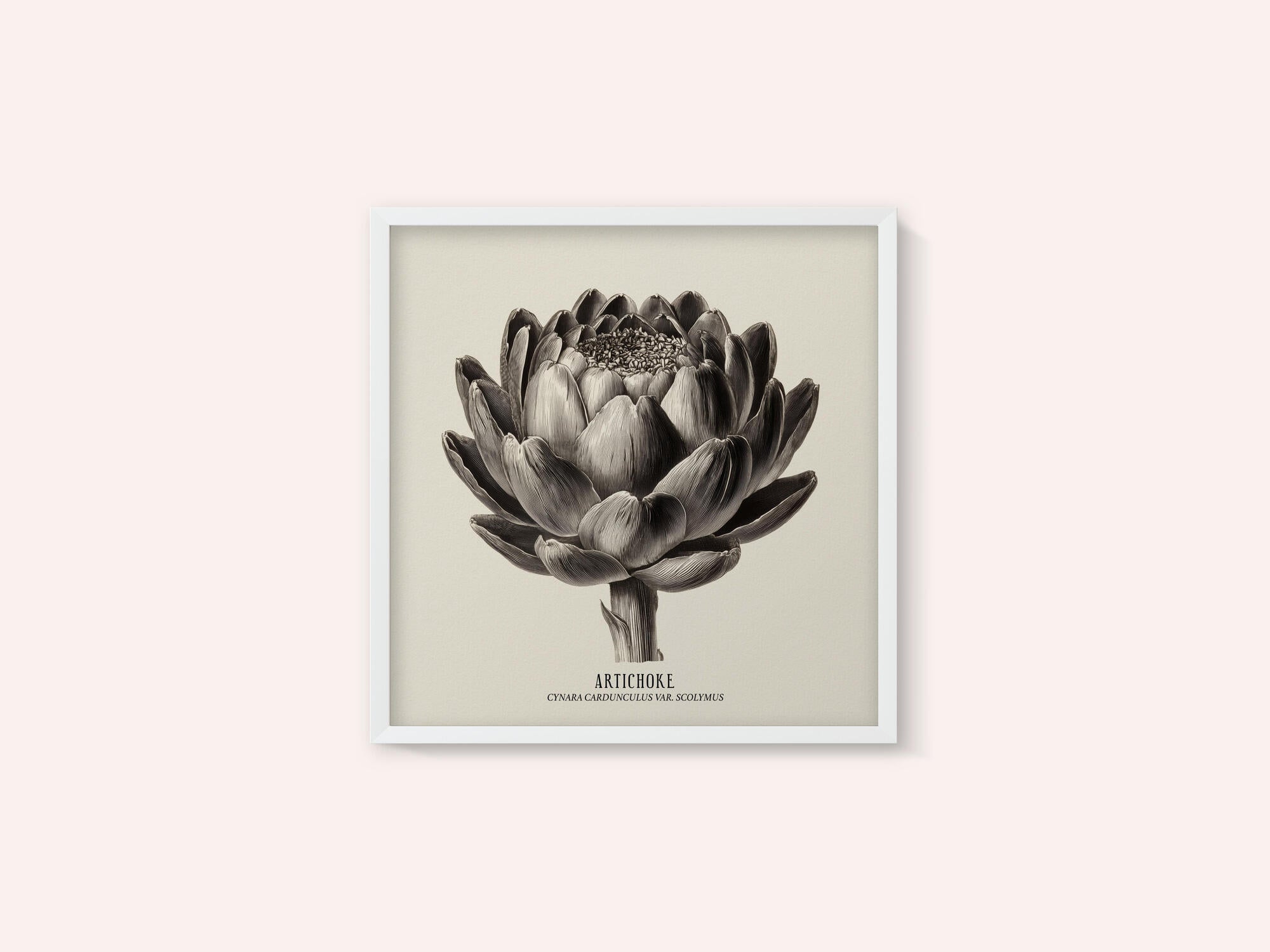 Vintage Vegetables - Artichoke