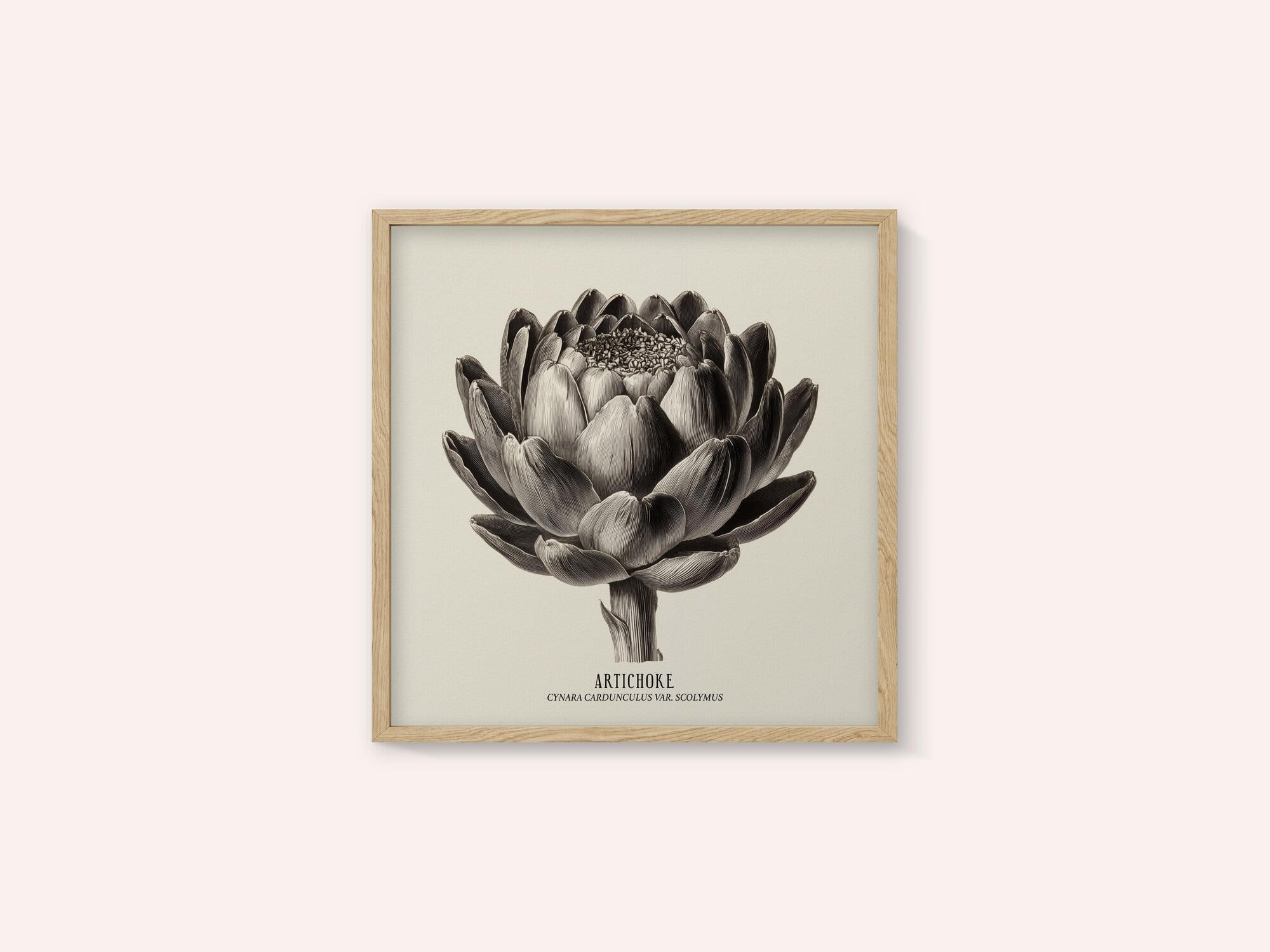 Vintage Vegetables - Artichoke