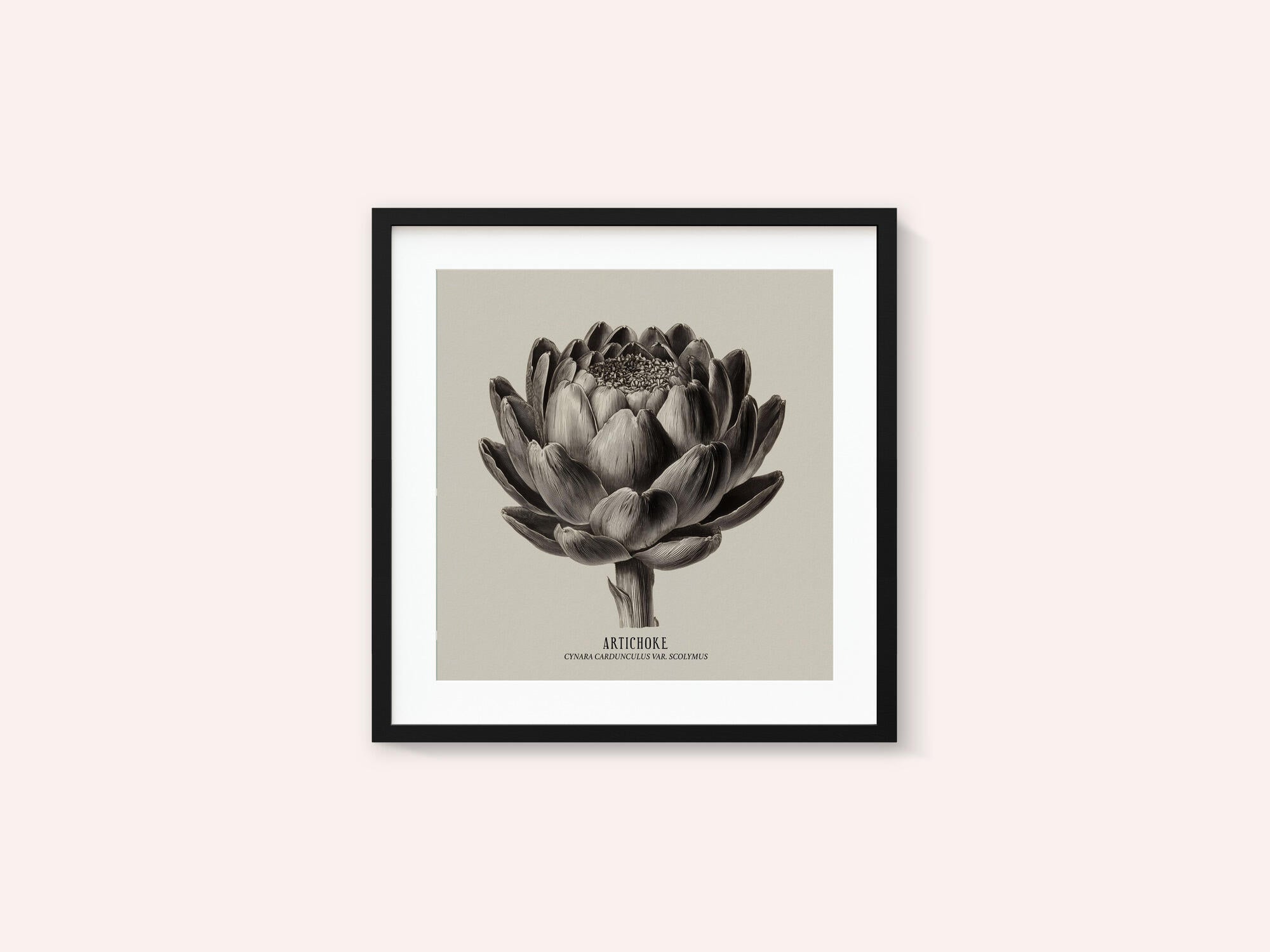 Vintage Vegetables - Artichoke