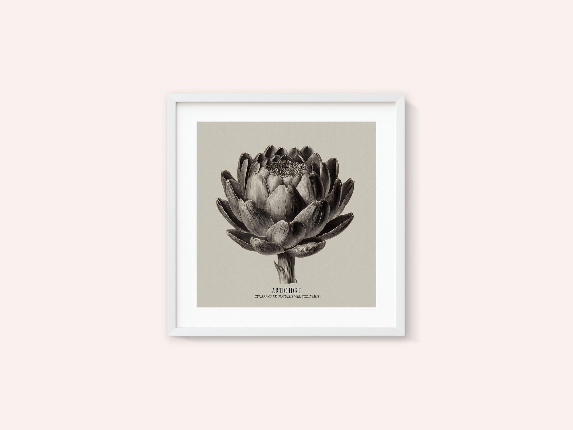 Vintage Vegetables - Artichoke