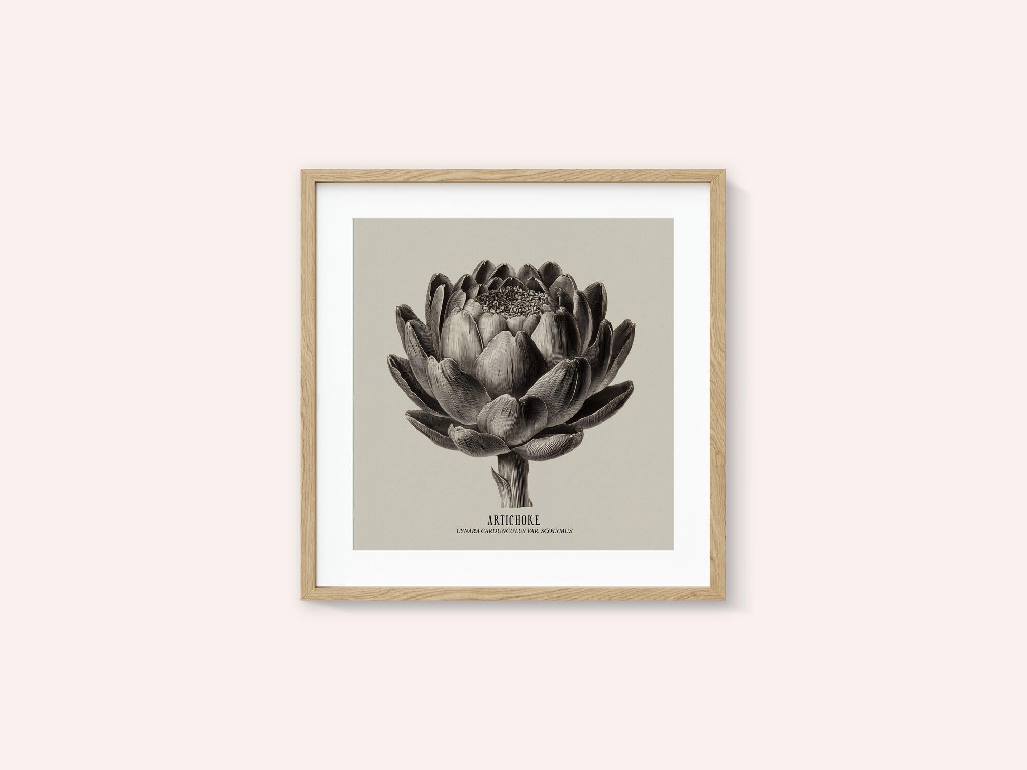 Vintage Vegetables - Artichoke