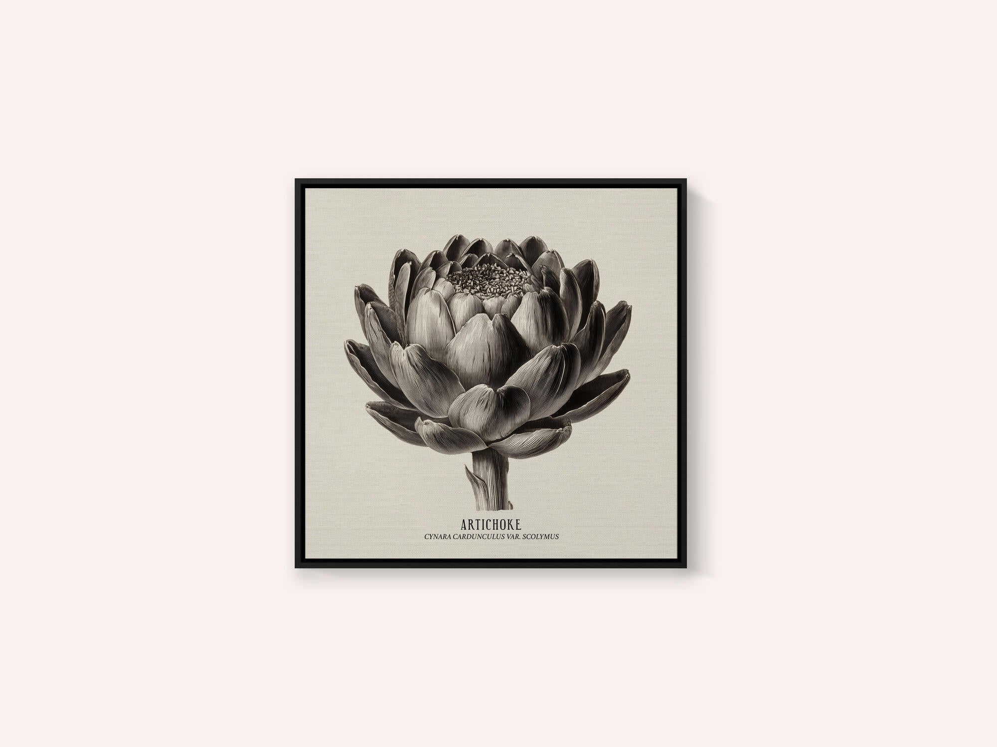 Vintage Vegetables - Artichoke