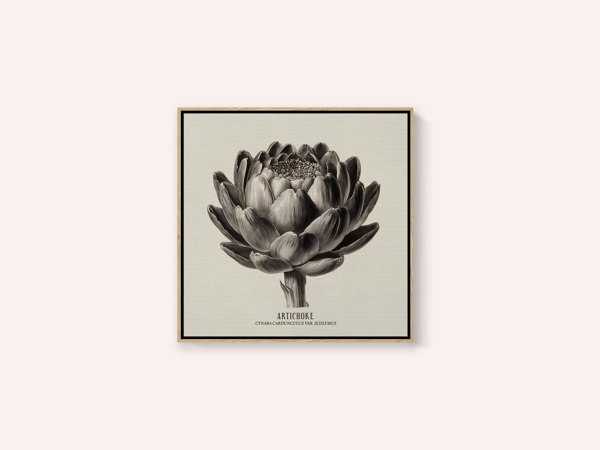 Vintage Vegetables - Artichoke