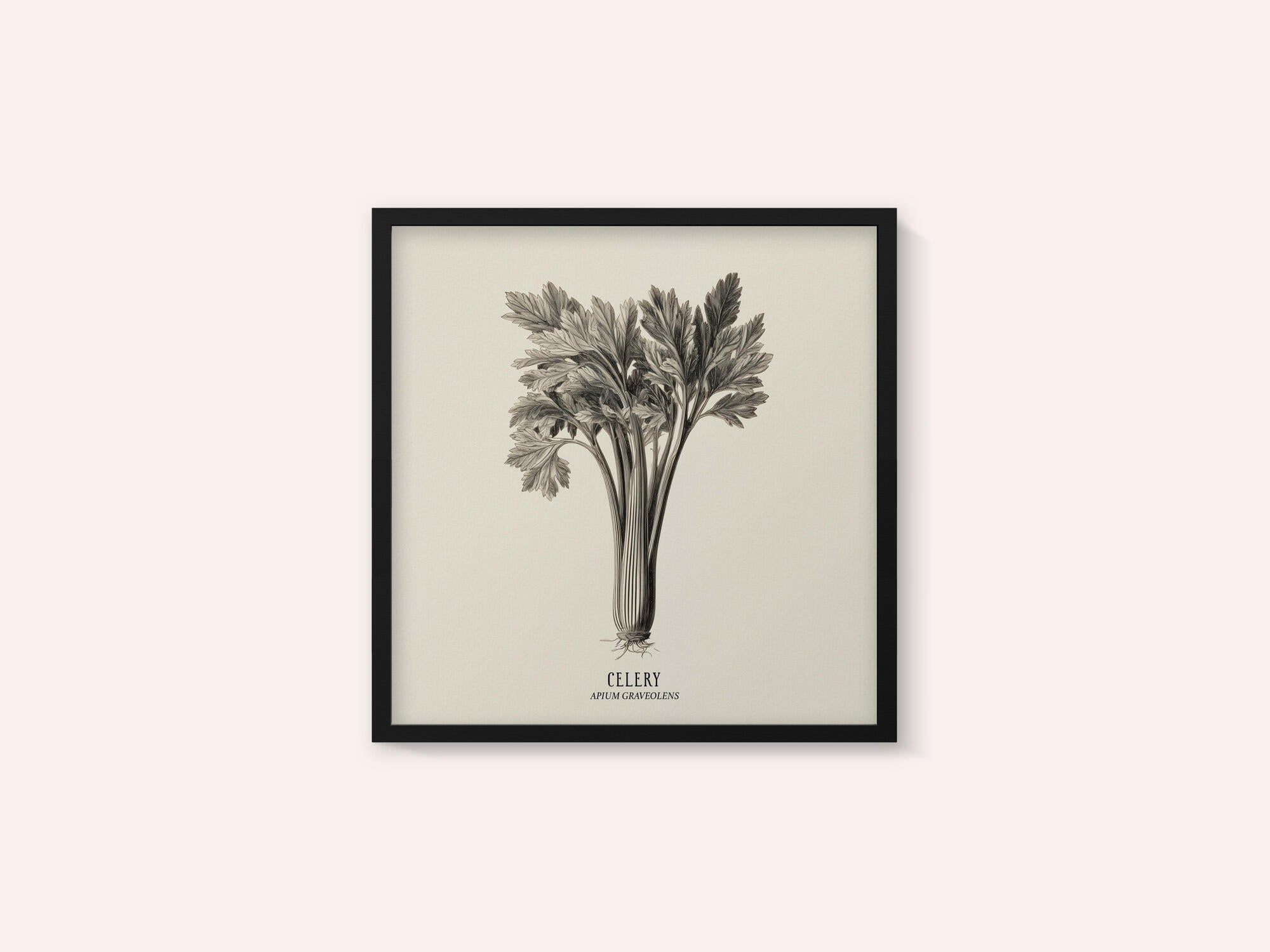 Vintage Vegetables - Celery