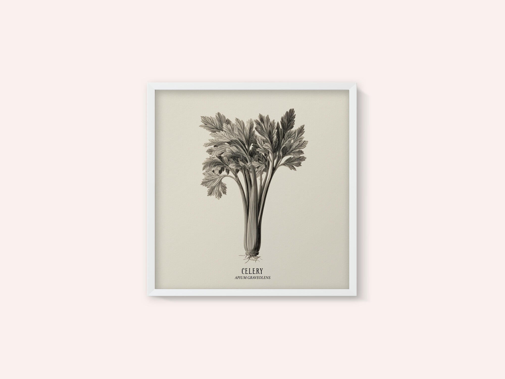 Vintage Vegetables - Celery
