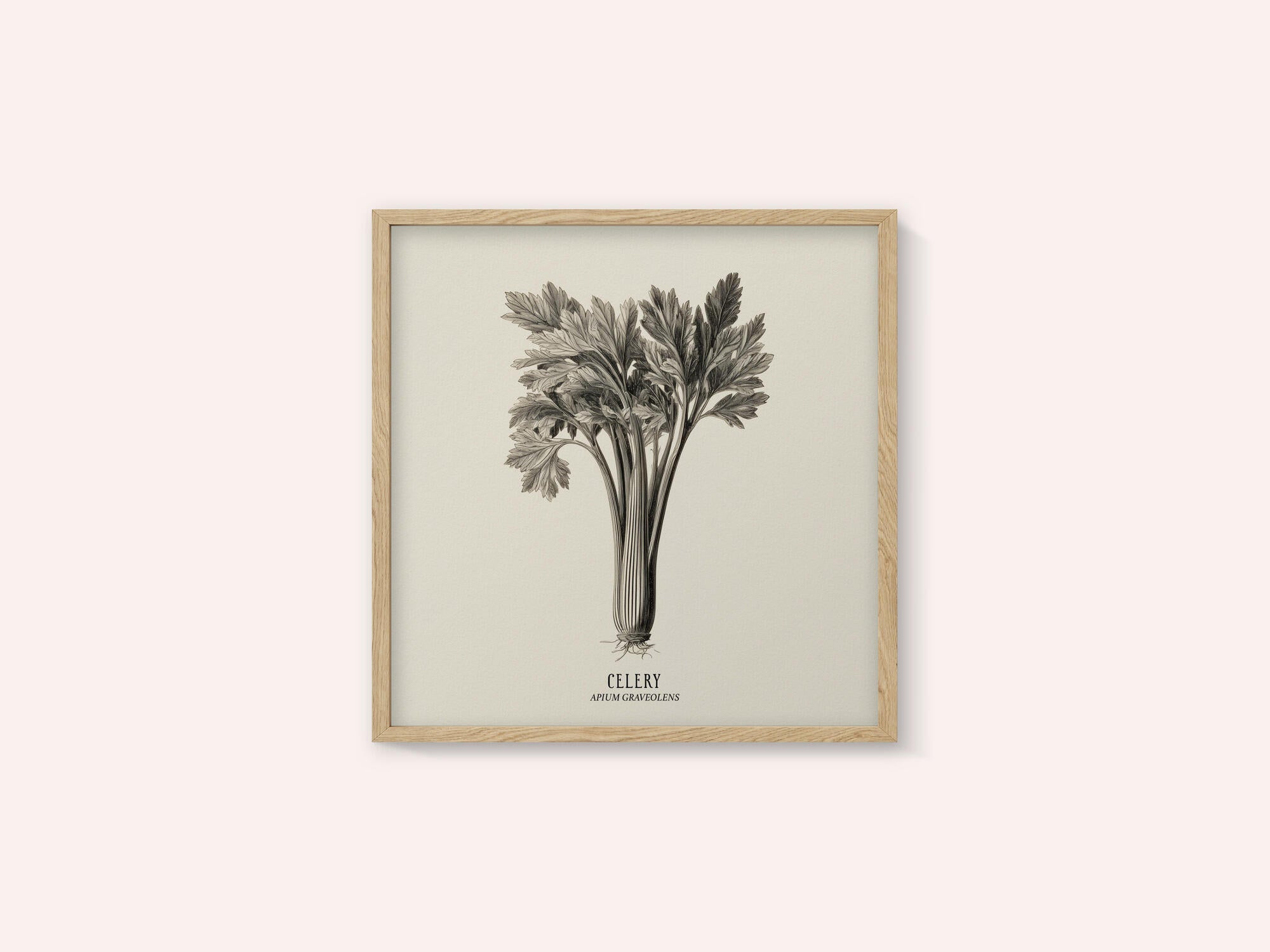 Vintage Vegetables - Celery