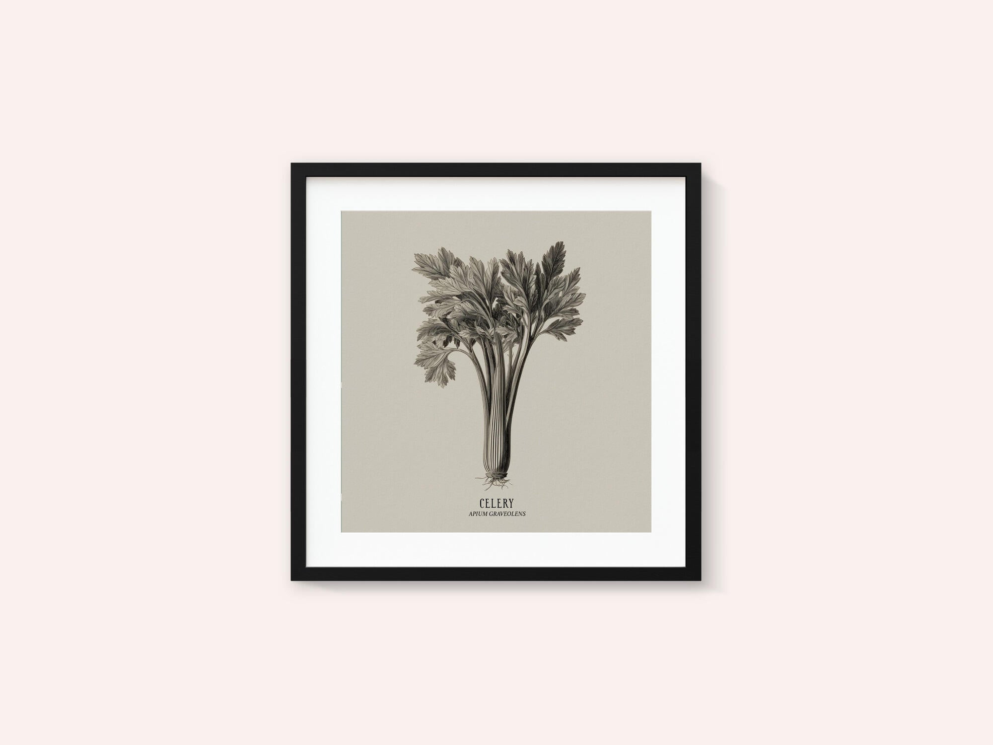 Vintage Vegetables - Celery
