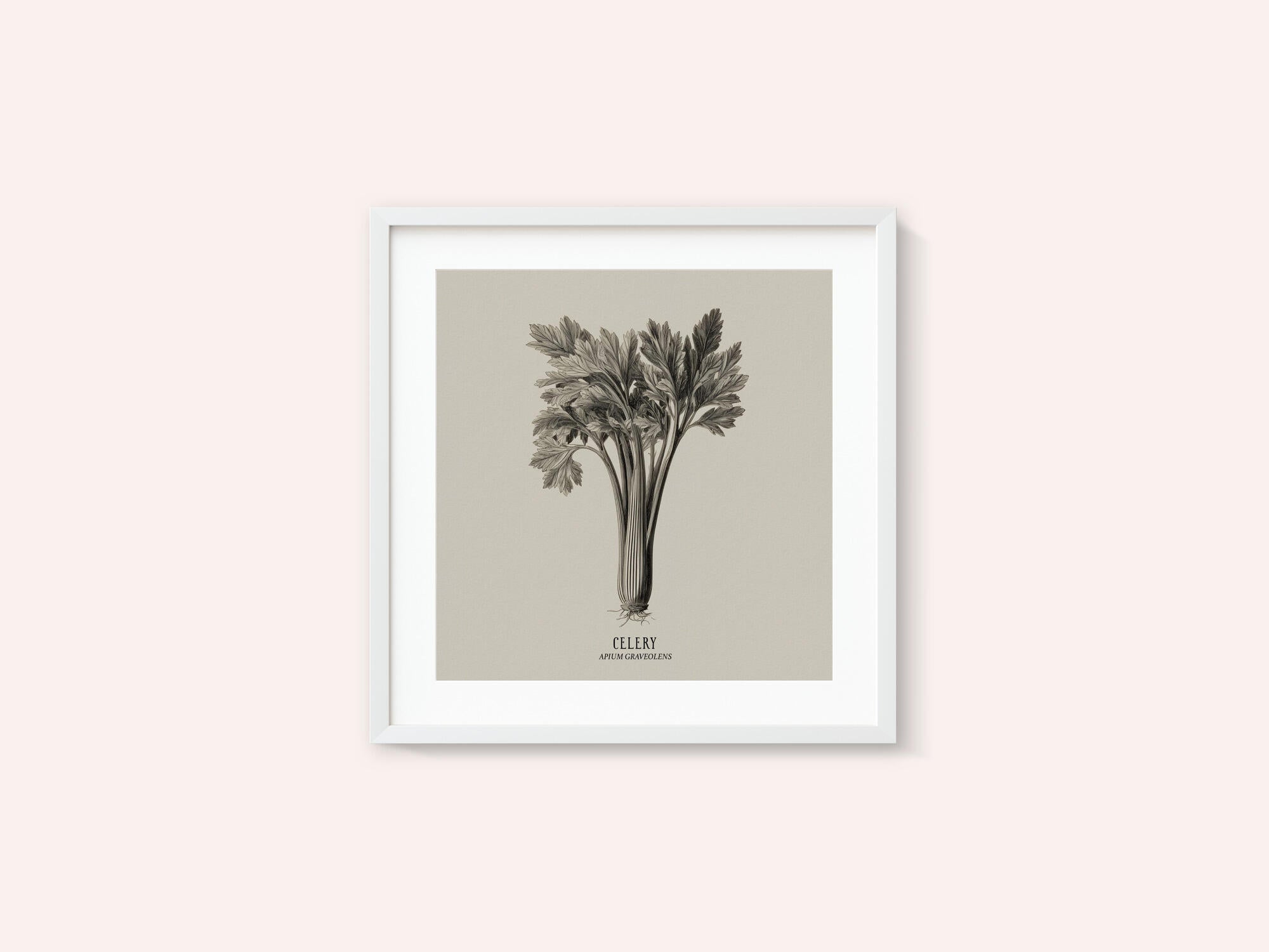 Vintage Vegetables - Celery