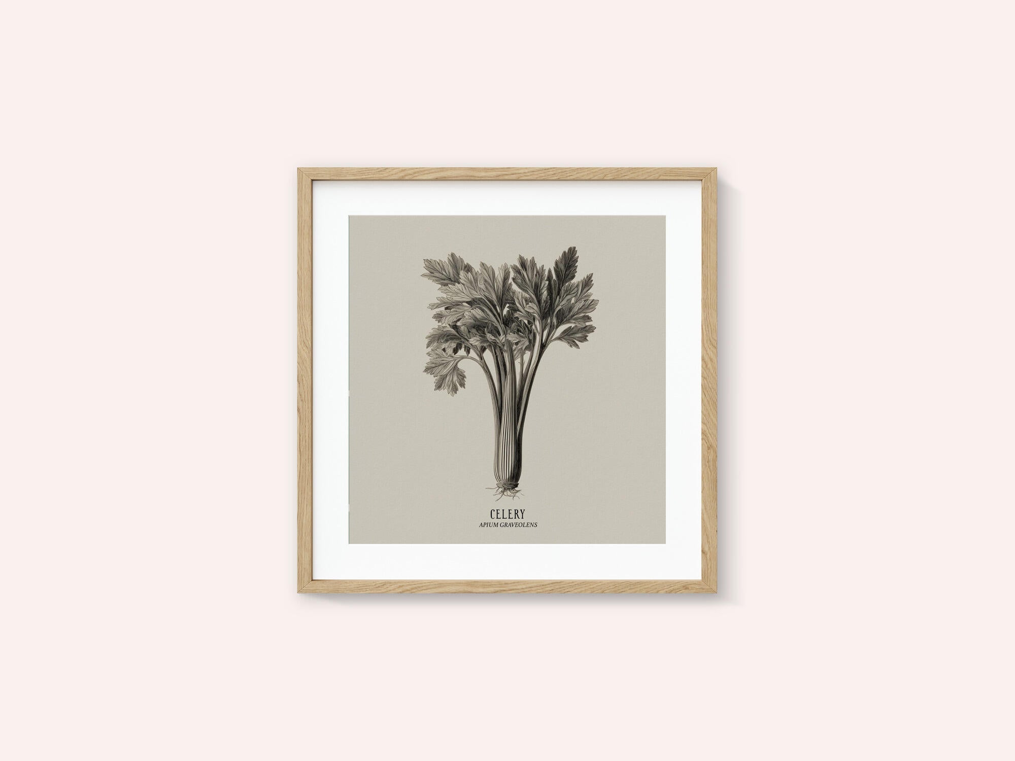Vintage Vegetables - Celery