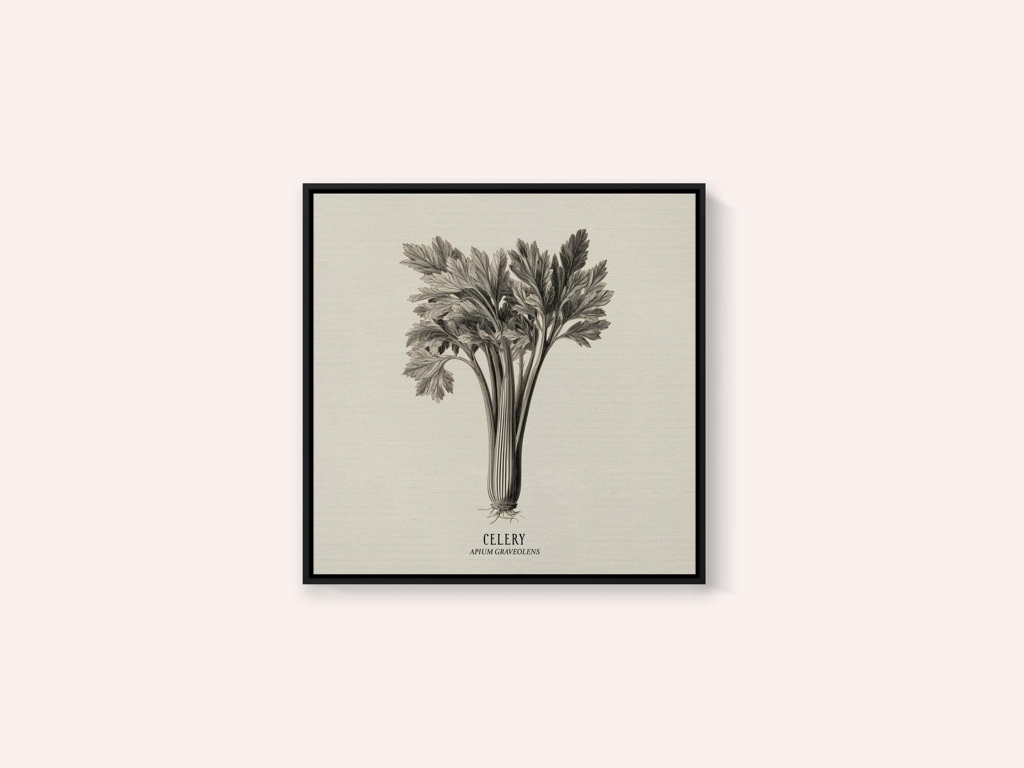 Vintage Vegetables - Celery