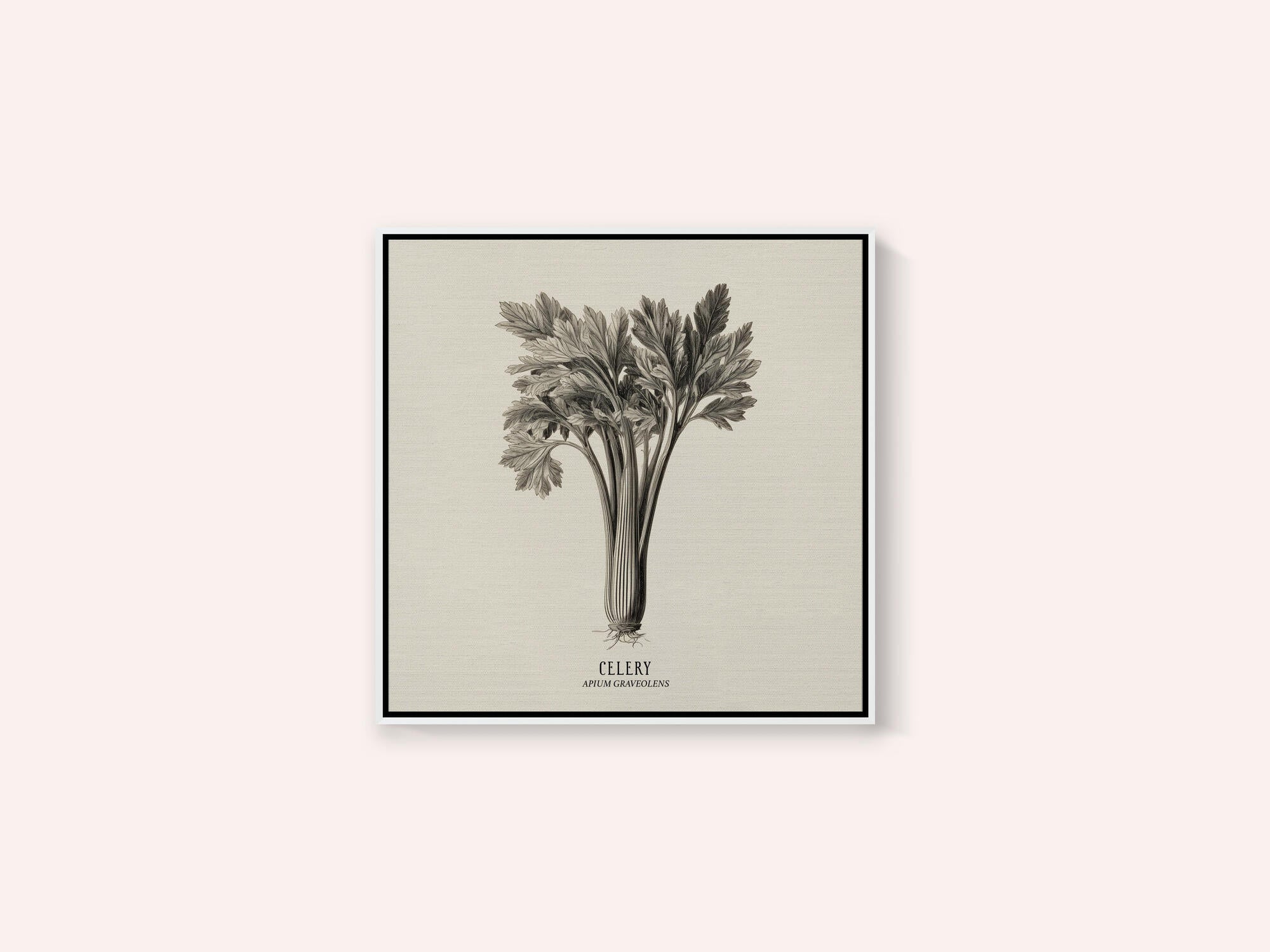 Vintage Vegetables - Celery