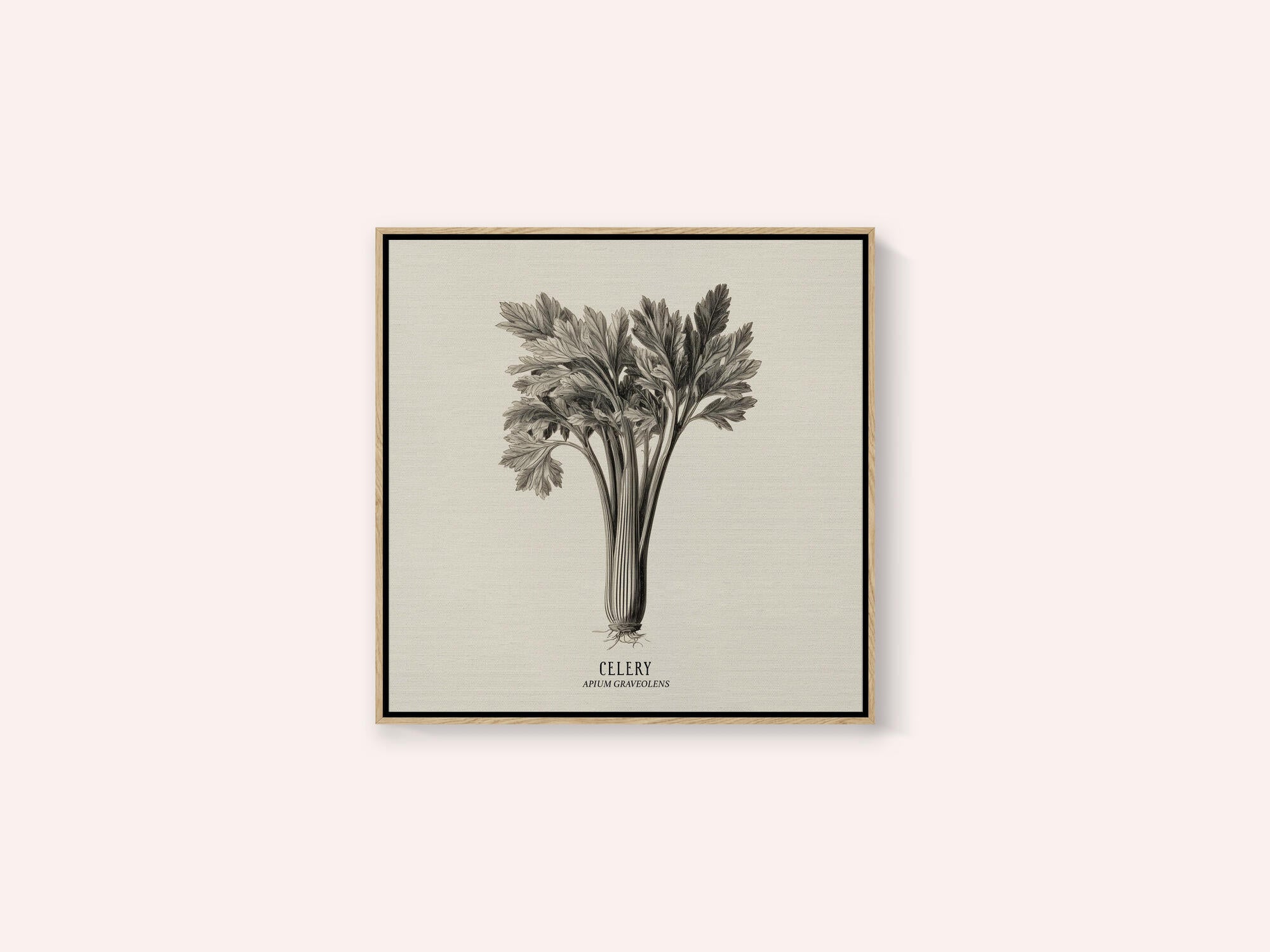 Vintage Vegetables - Celery