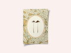 Delicate Woodland Mushrooms