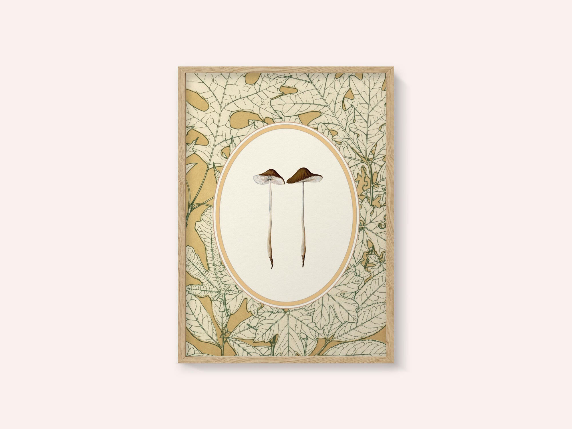 Delicate Woodland Mushrooms