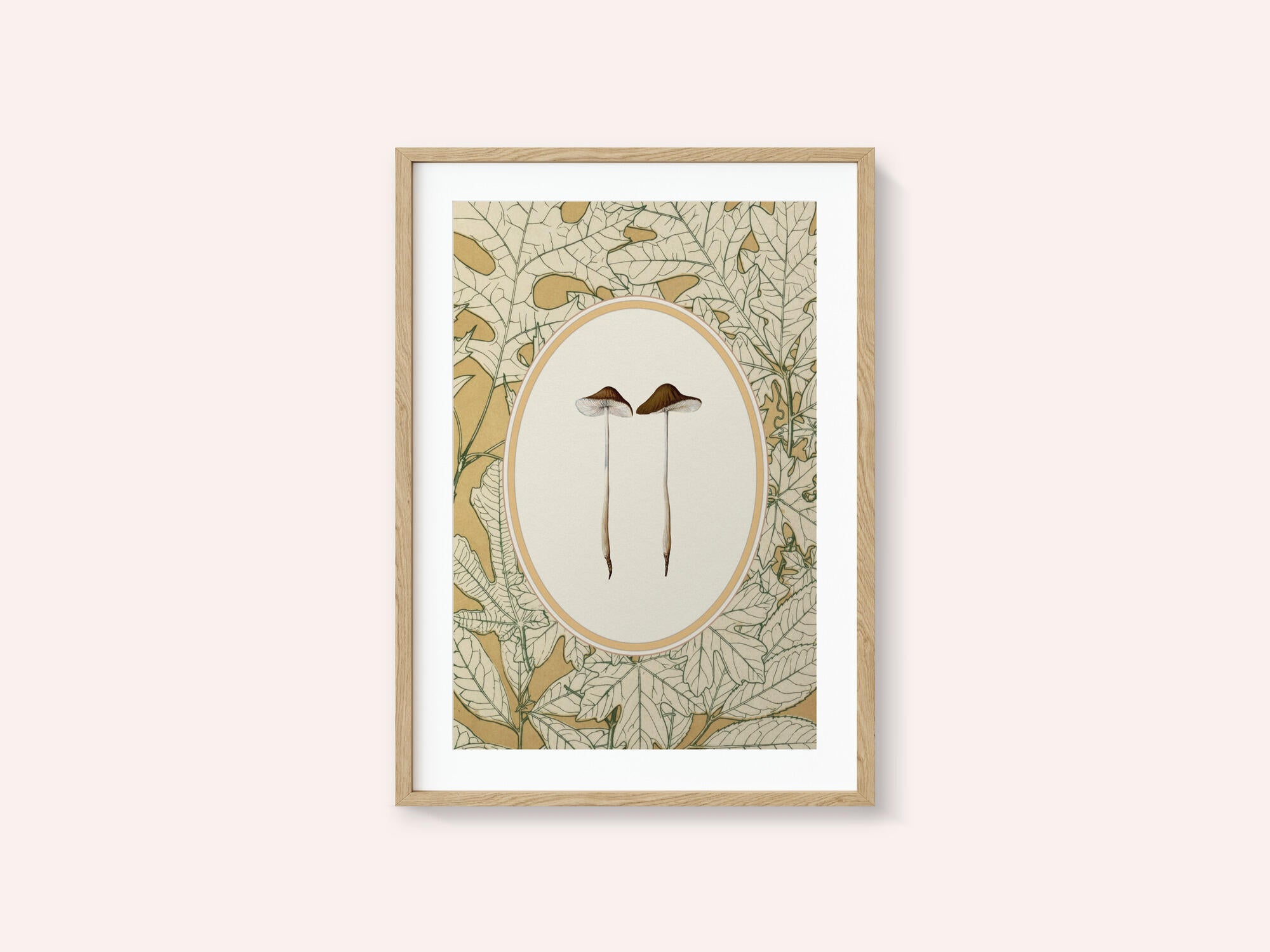 Delicate Woodland Mushrooms