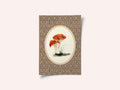 Vintage Mushroom Illustration