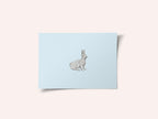 Serene White Rabbit